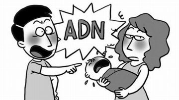 Dịch Vụ Giám Định ADN – Giám định tư pháp