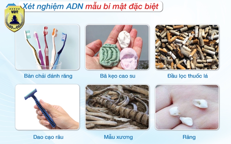 Xét nghiệm ADN là gì? Đăng ký dịch vụ giám định ADN và giám định tư pháp của Thám tử VDT
