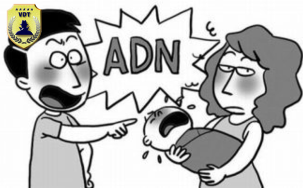 Lý Do Nên Chọn Thám Tử VDT Cho Các Vụ Việc Bảo Mật